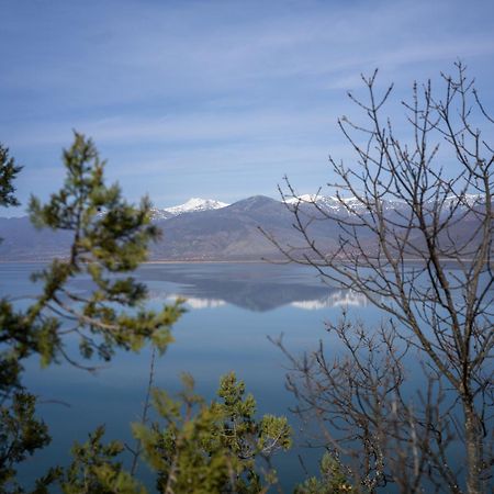 Prespes Lake View Family Apartment Florina Esterno foto